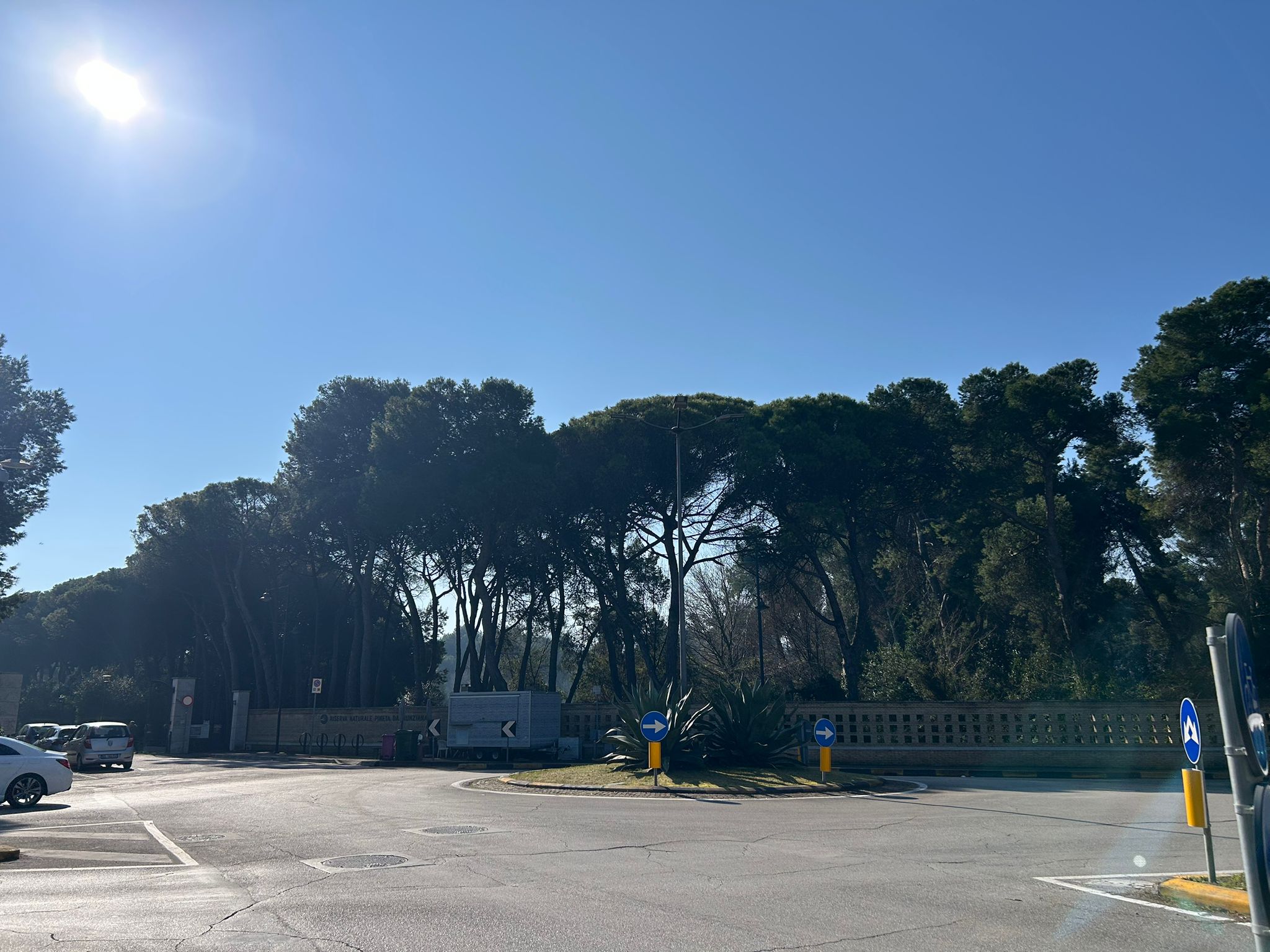 Pineta Dannunziana a Pescara