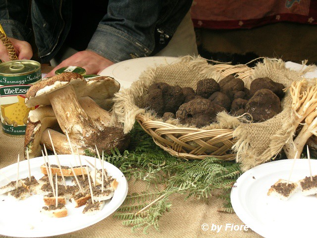 tartufo